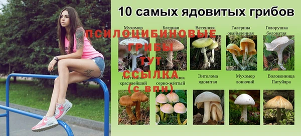 меф Алзамай