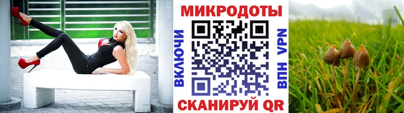 Псилоцибиновые грибы Psilocybine cubensis  Палласовка 