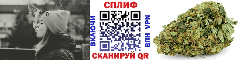 Бошки Шишки тримм  площадка как зайти  Палласовка 